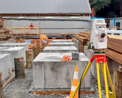 Living Pa - Total Station on site